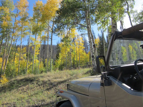 Jeep and Fall Colors