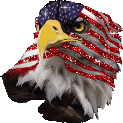 tumblr_mm3a1v8Pe61rmbsdzo1_400.gif