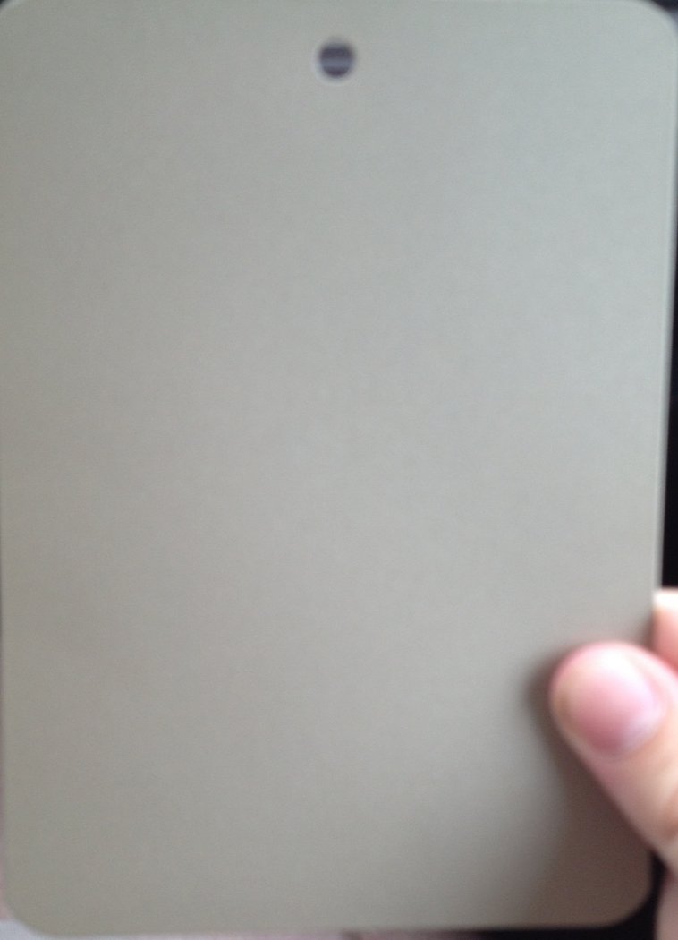 Paint card up close through camera.  It looks grey!