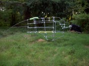 Creature is now 22 feet long.  Head will lift and turn side to side.