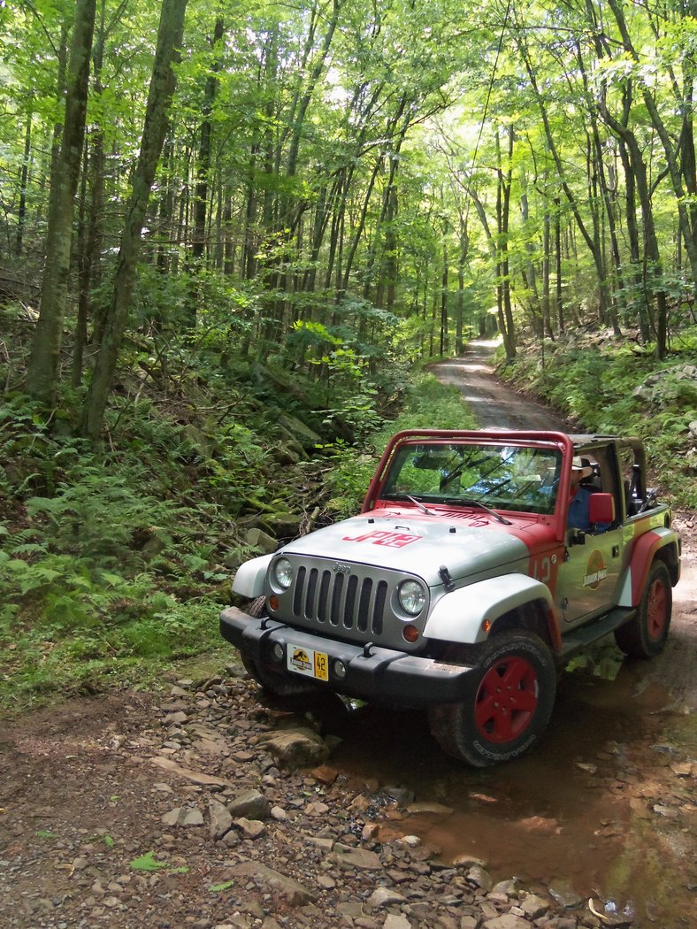 Mountain Trail