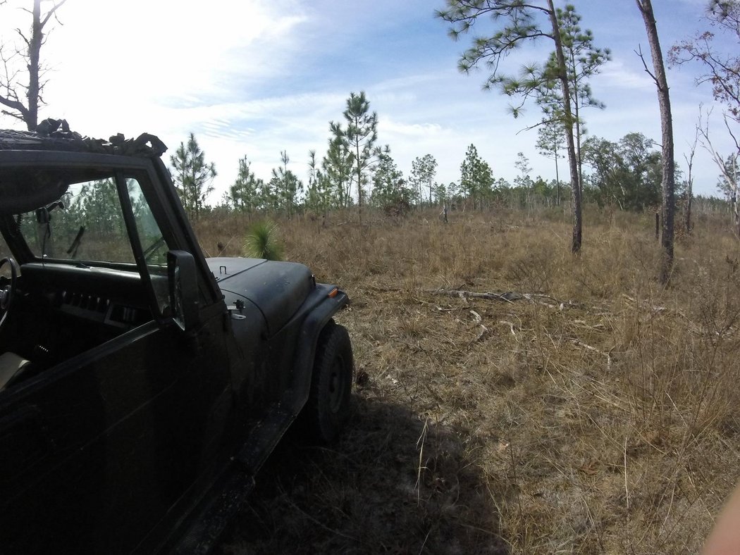 jeeping013016-2.jpg