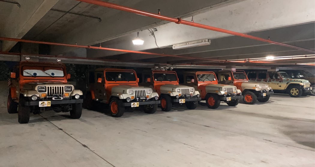 IMG_8276.JPG (662.56 KiB) Viewed 188708 times They Do Move In Herds